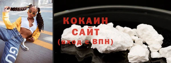 стафф Дмитриев