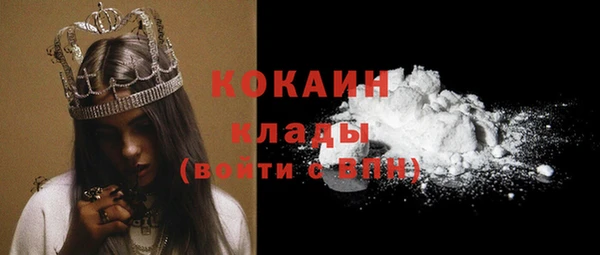 стафф Дмитриев