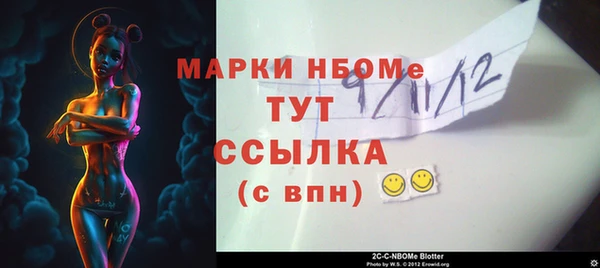 2c-b Горно-Алтайск