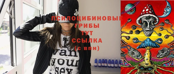мдпв Гусь-Хрустальный