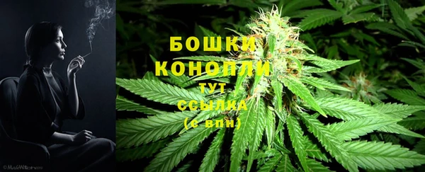 мдпв Гусь-Хрустальный