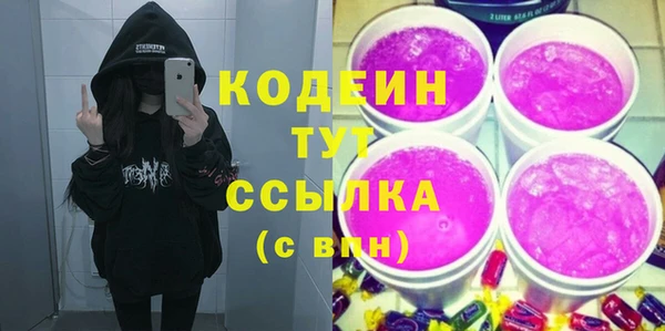 мдпв Гусь-Хрустальный