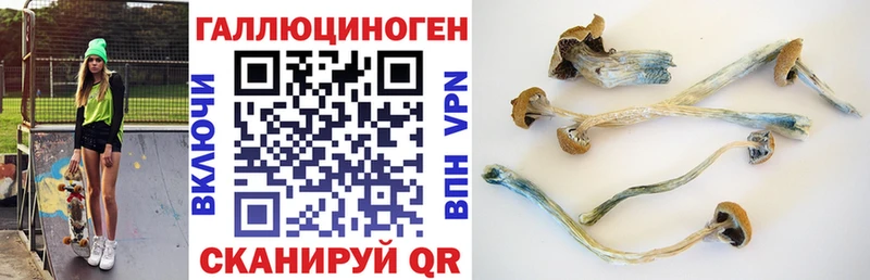 Купить  Оренбург  Псилоцибиновые грибы Magic Shrooms 